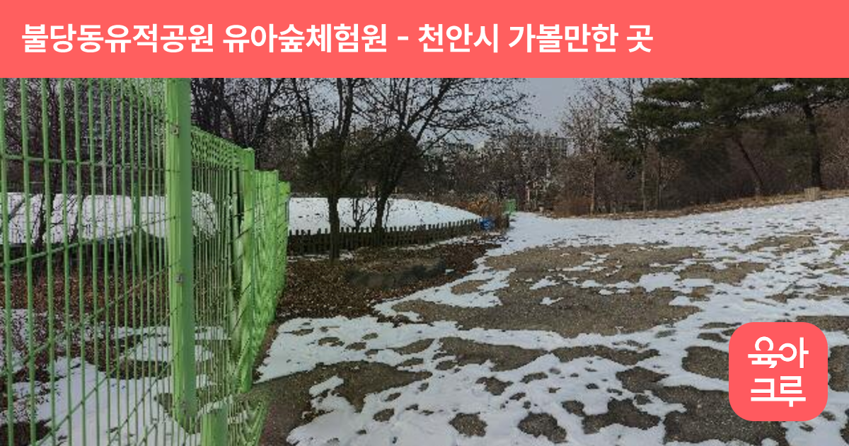 불당동유적공원 유아숲체험원 썸네일