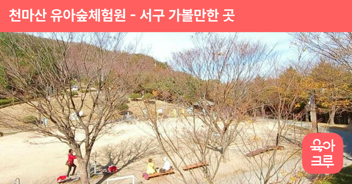 천마산 유아숲체험원 썸네일