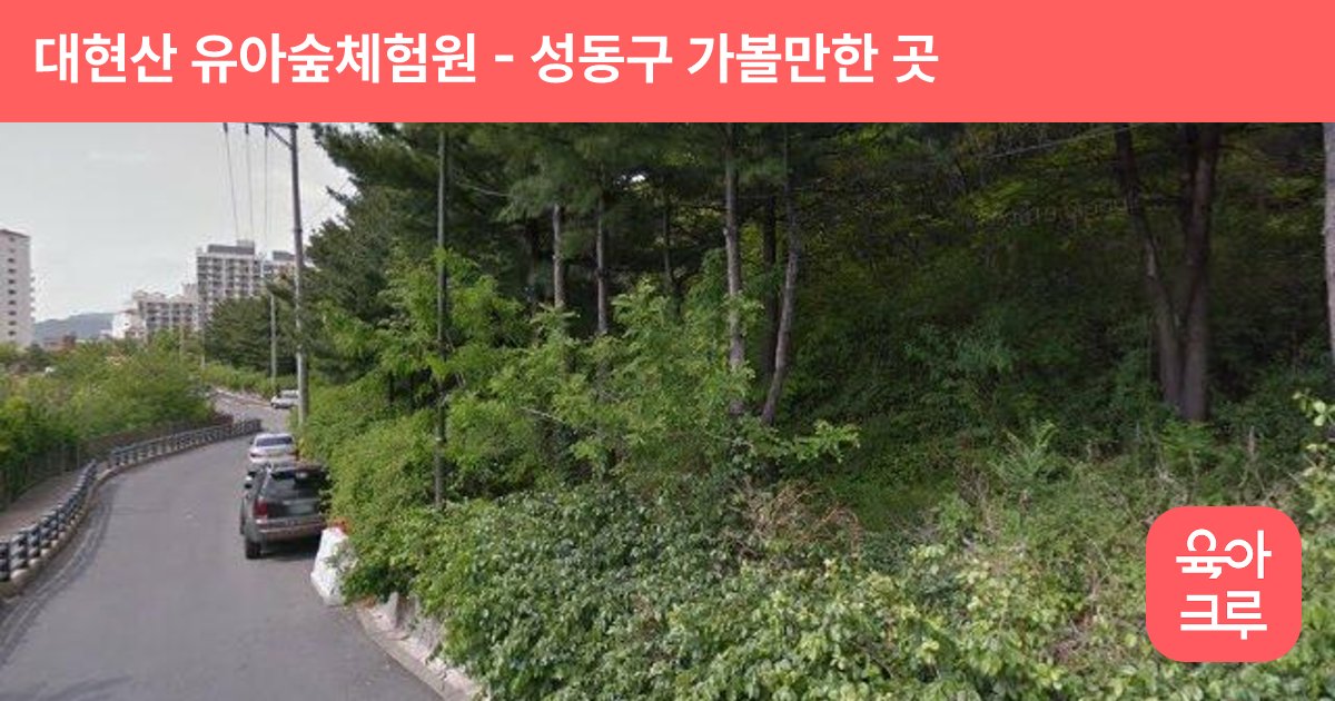 대현산 유아숲체험원 썸네일