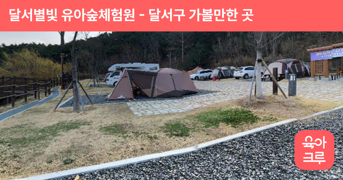 달서별빛 유아숲체험원 썸네일
