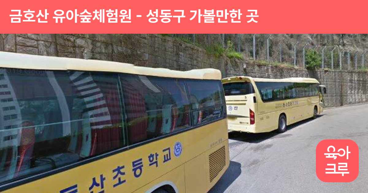 금호산 유아숲체험원 썸네일