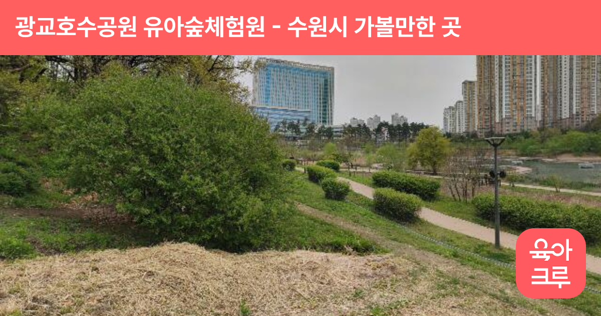 광교호수공원 유아숲체험원 썸네일