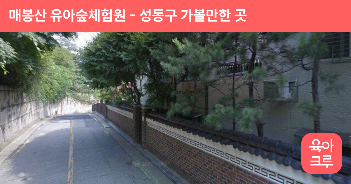 매봉산 유아숲체험원 썸네일