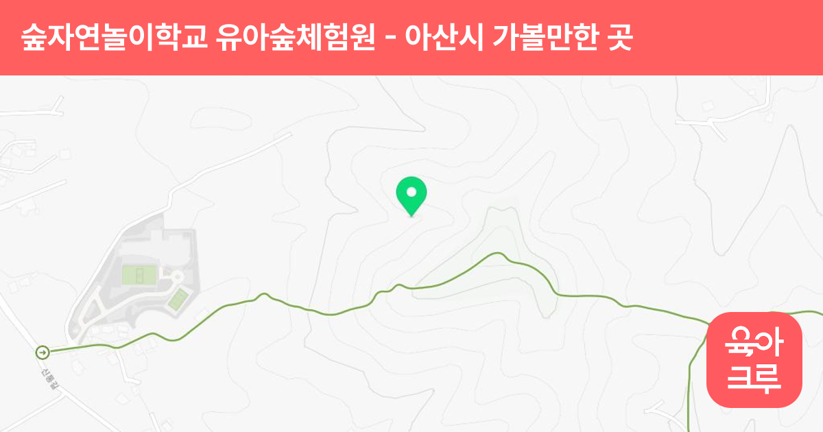 숲자연놀이학교 유아숲체험원 썸네일