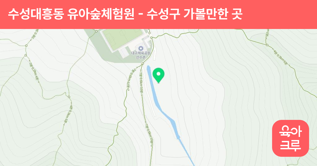 수성대흥동 유아숲체험원 썸네일